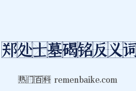 郑处士墓碣铭反义词是什么意思的图片
